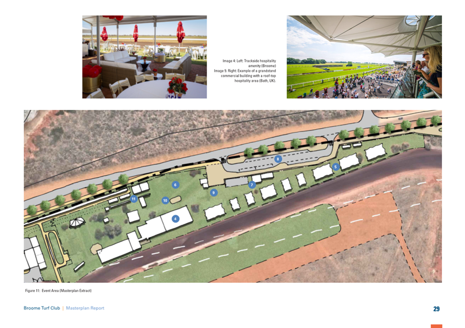 A close-up of a plan

Description automatically generated