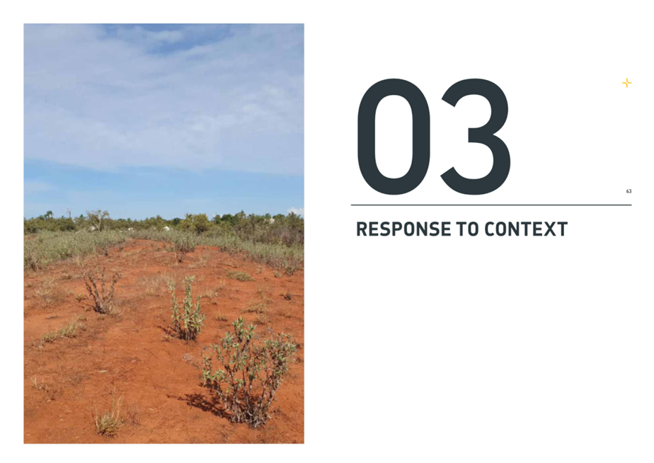 A close-up of a field

AI-generated content may be incorrect.
